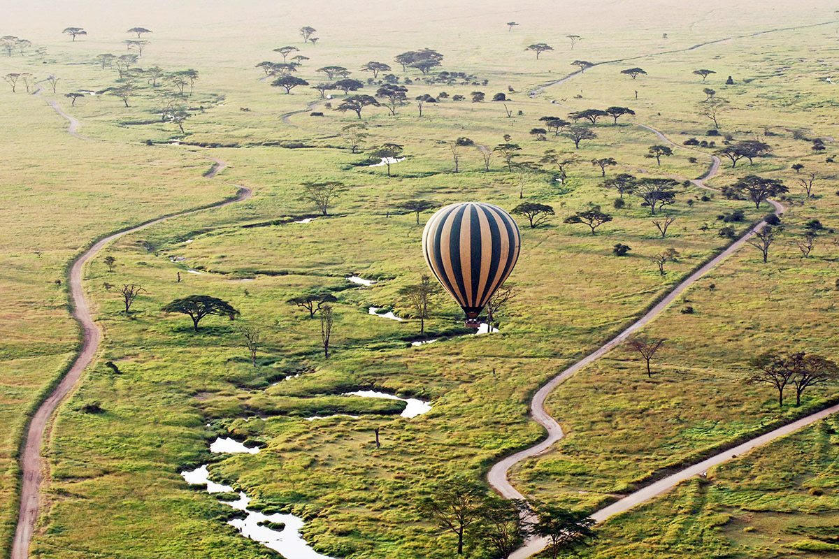Family Safari — Fun & Bonding