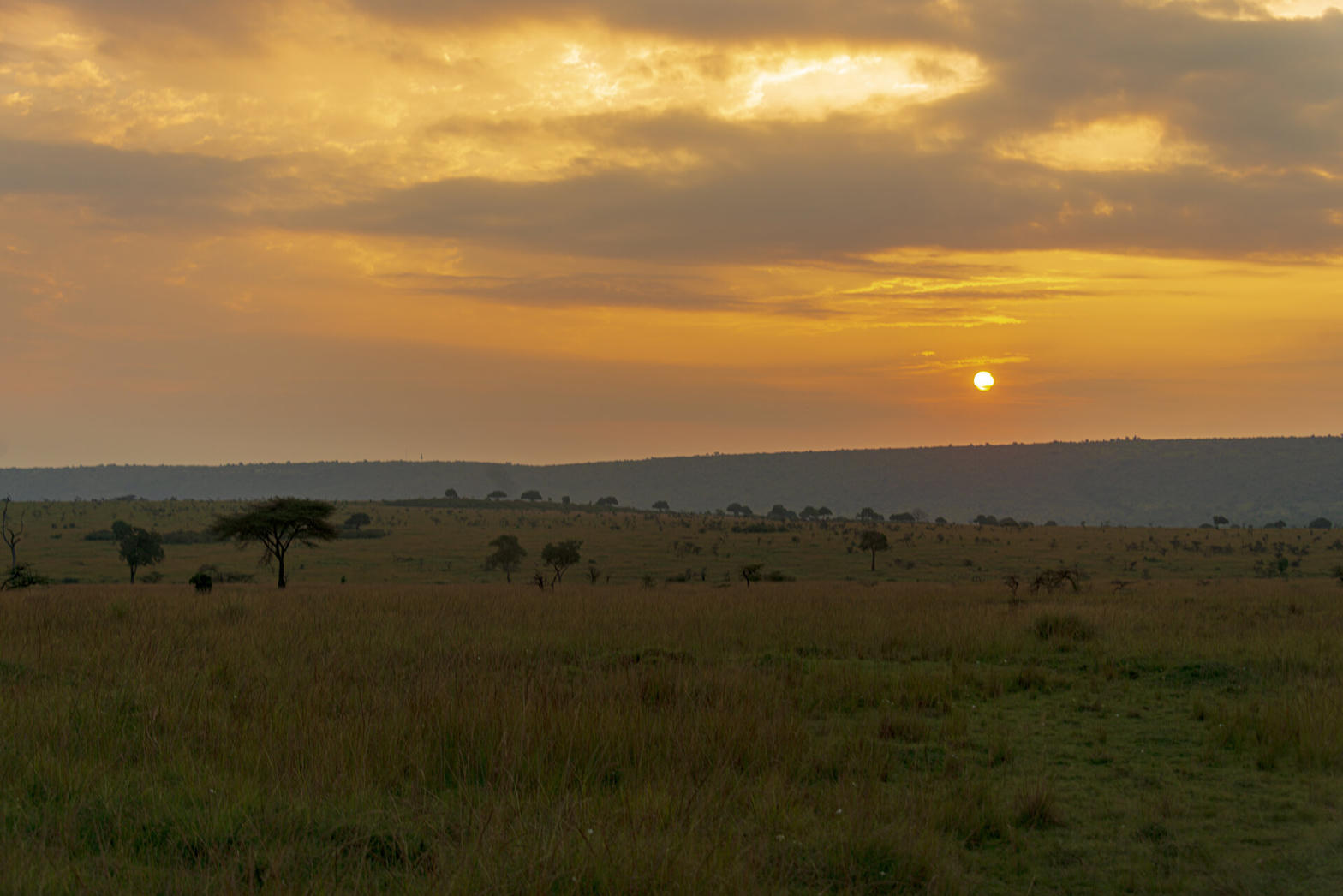 Maasai Mara at first light