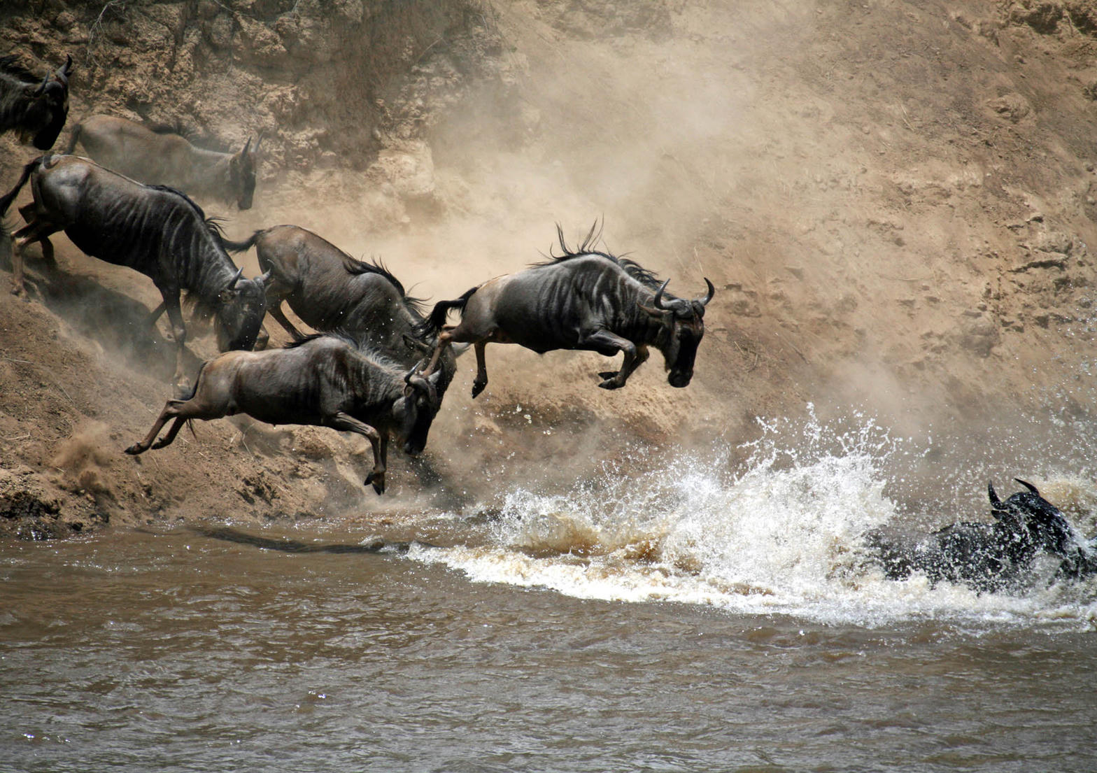 When to see the Great Migration — without the brochure fog
